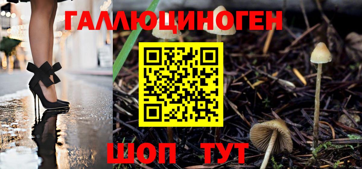 Псилоцибиновые грибы Psilocybe  где купить наркотик  Керчь  Вход с VPN 