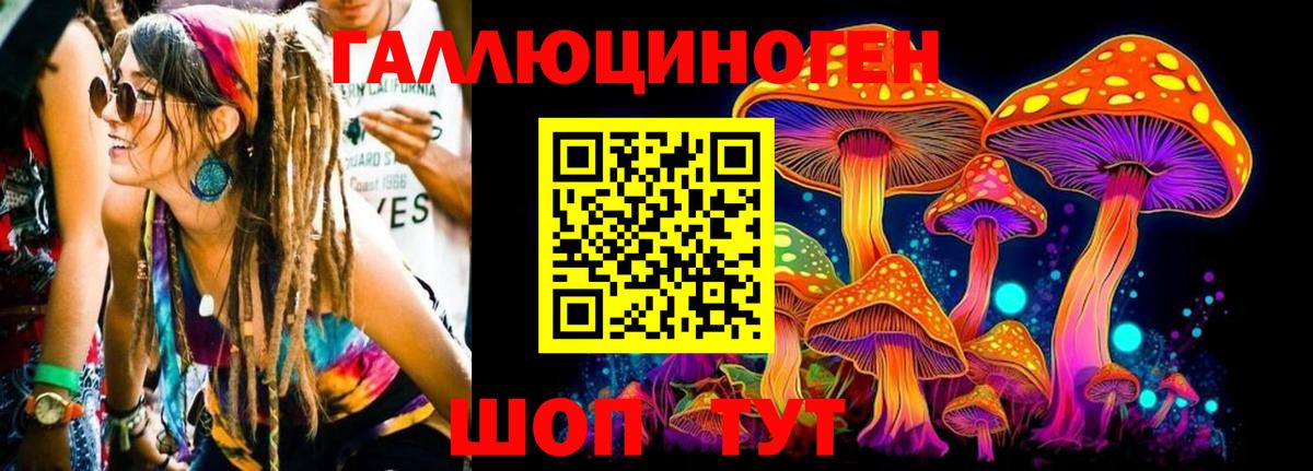 Псилоцибиновые грибы мицелий Керчь